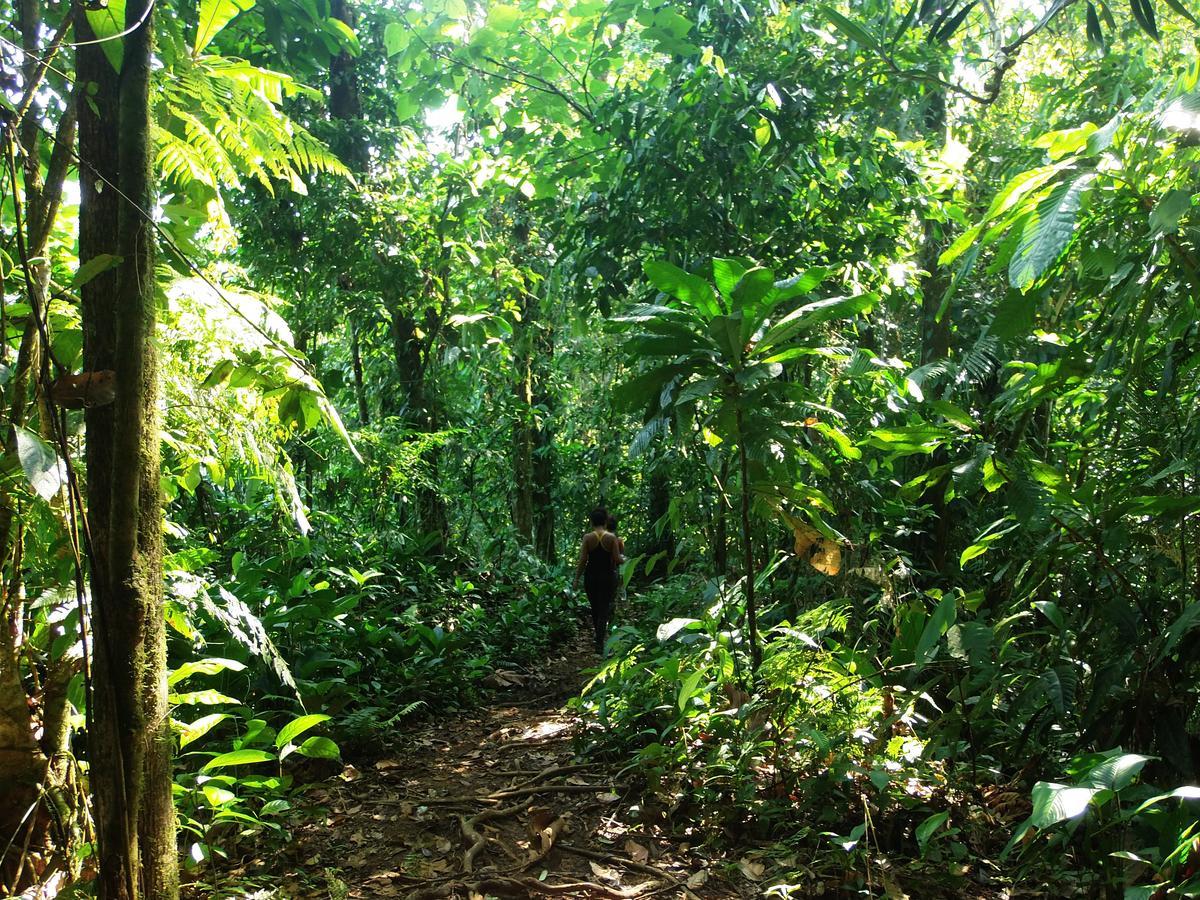 Cabanas Refugio Salomon Nuqui Bagian luar foto