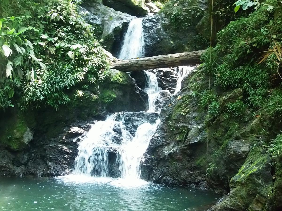 Cabanas Refugio Salomon Nuqui Bagian luar foto